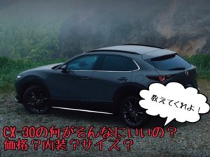 マツダCX-30の何がそんなにいいの?価格?内装?サイズ?教えてくれよ!!
