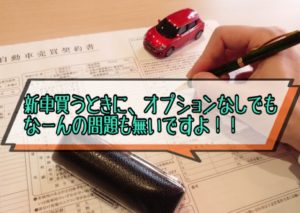 新車を【オプションなし】で買うのはアリ?正直、アリと言い切れる理由を解説